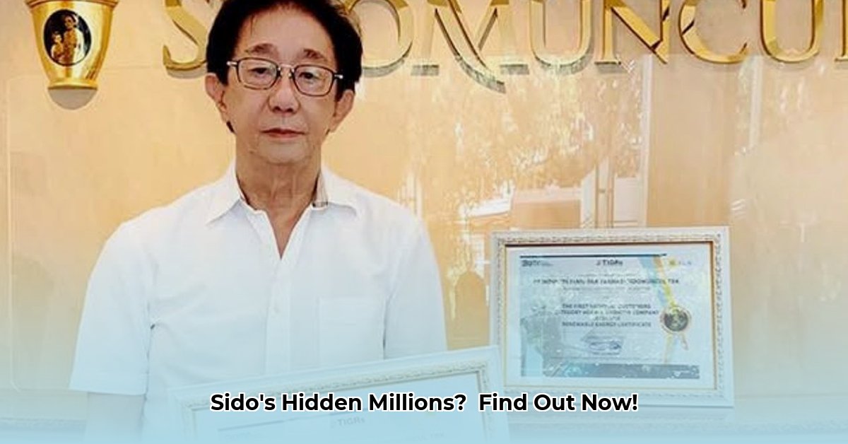 sido-net-worth